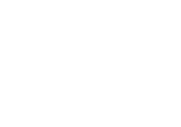 Home Guard Solutions