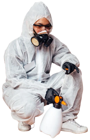 Pest Control